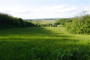 Lúka za dedinou, v pozadí poľnohospodárske družstvo